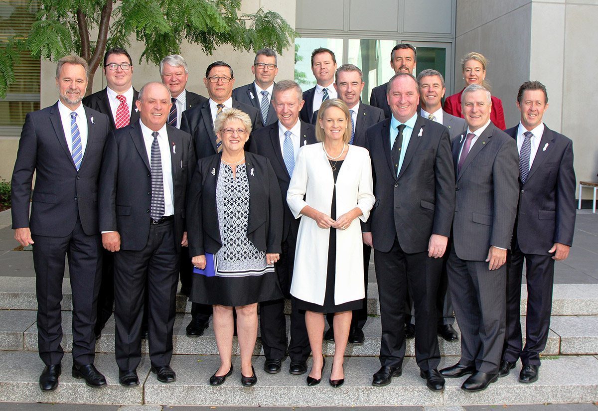 Seventeen Members and Senators from the Nationals standing in a group shot in the outside courtyard at Parliament House. All are wearing White Ribbon lapel pins on their jackets.