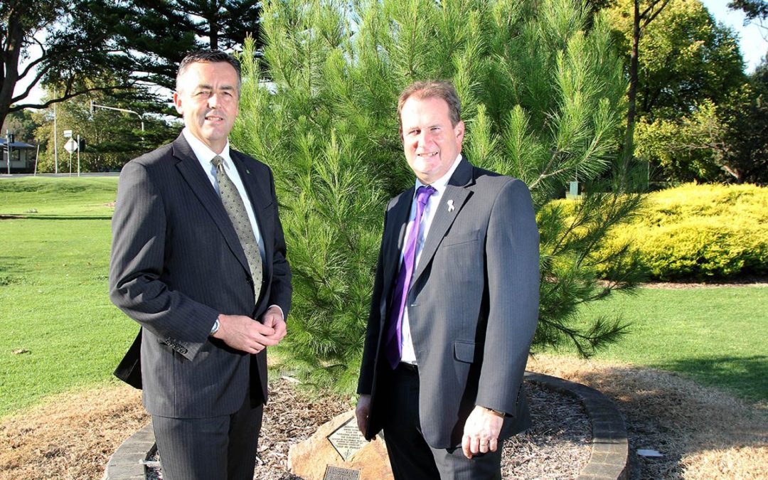 LONE PINE TREE IN TRARALGON TO BE PROTECTED