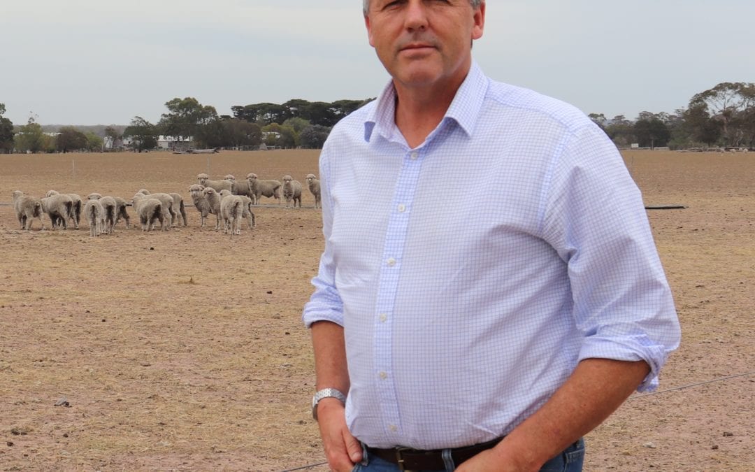 FARMING FAMILIES URGED TO TAKE UP DROUGHT HELP