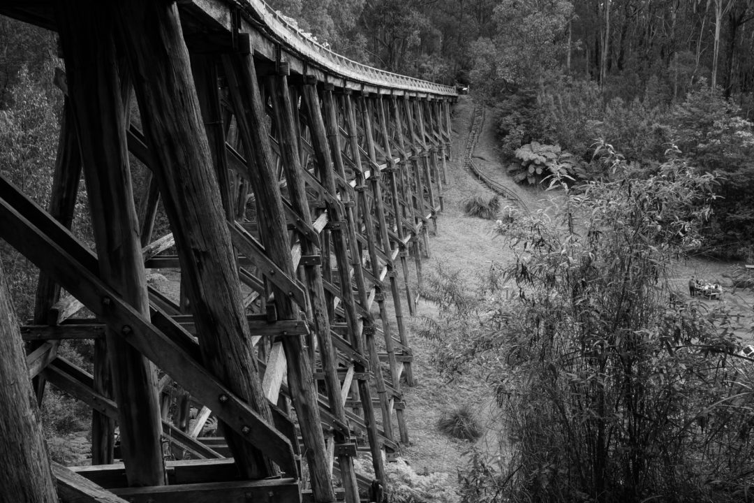 Noojee Trestle Bridge | darrenchester.com.au