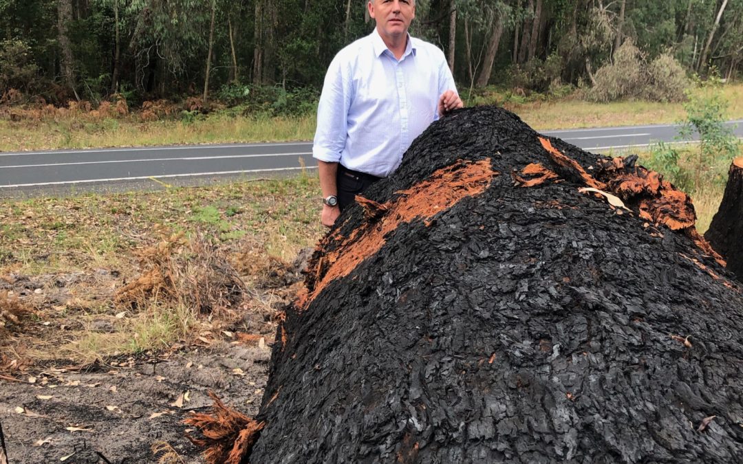 NO MORE EXCUSES FOR BUSHFIRE RECOVERY DELAYS